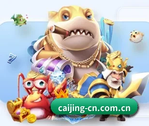彩经网的故事